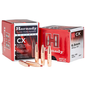 Hornady 300 WIN MAG 180 GR OUTFITTER